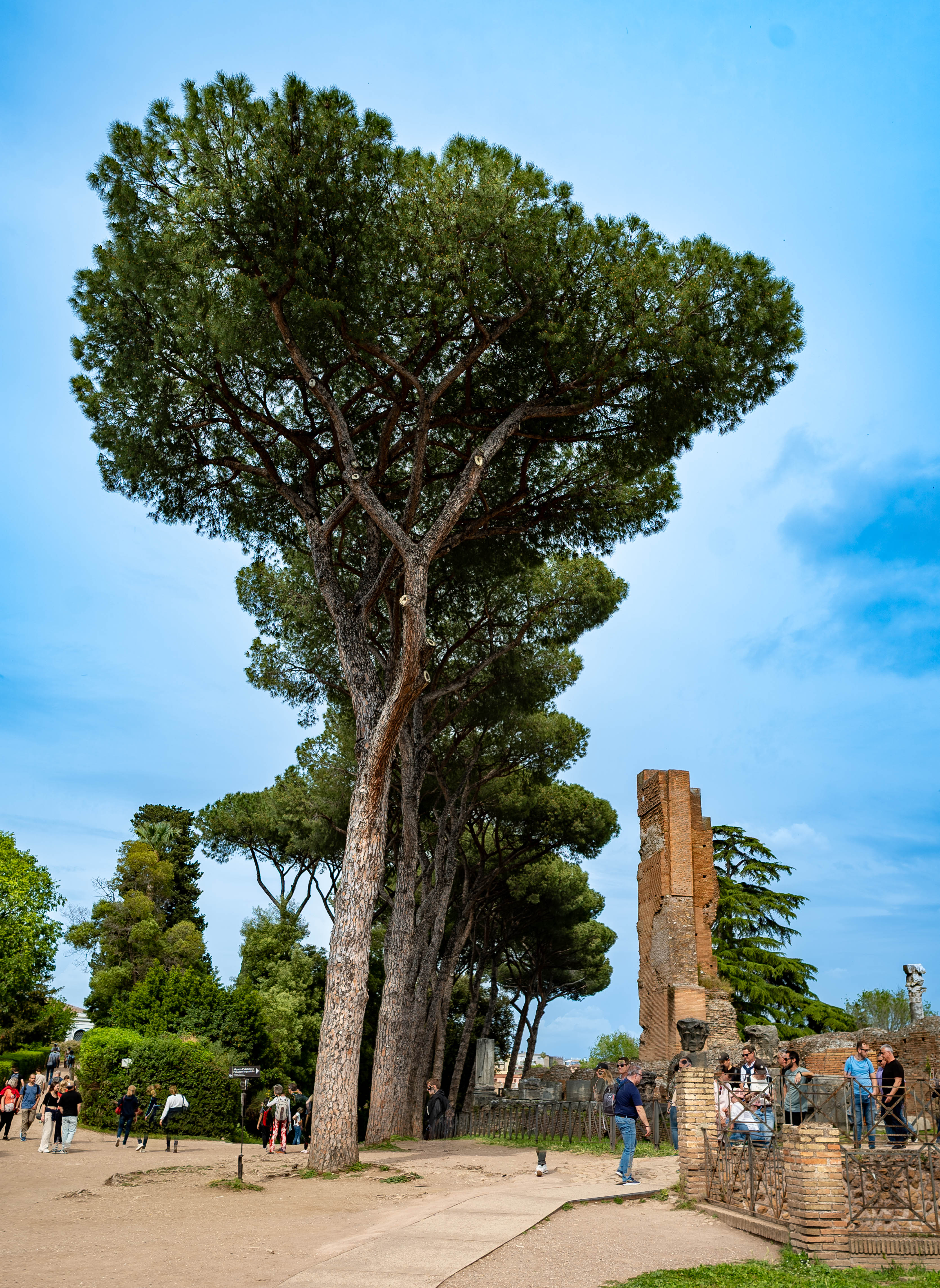 Roma_TZM00396-HDR